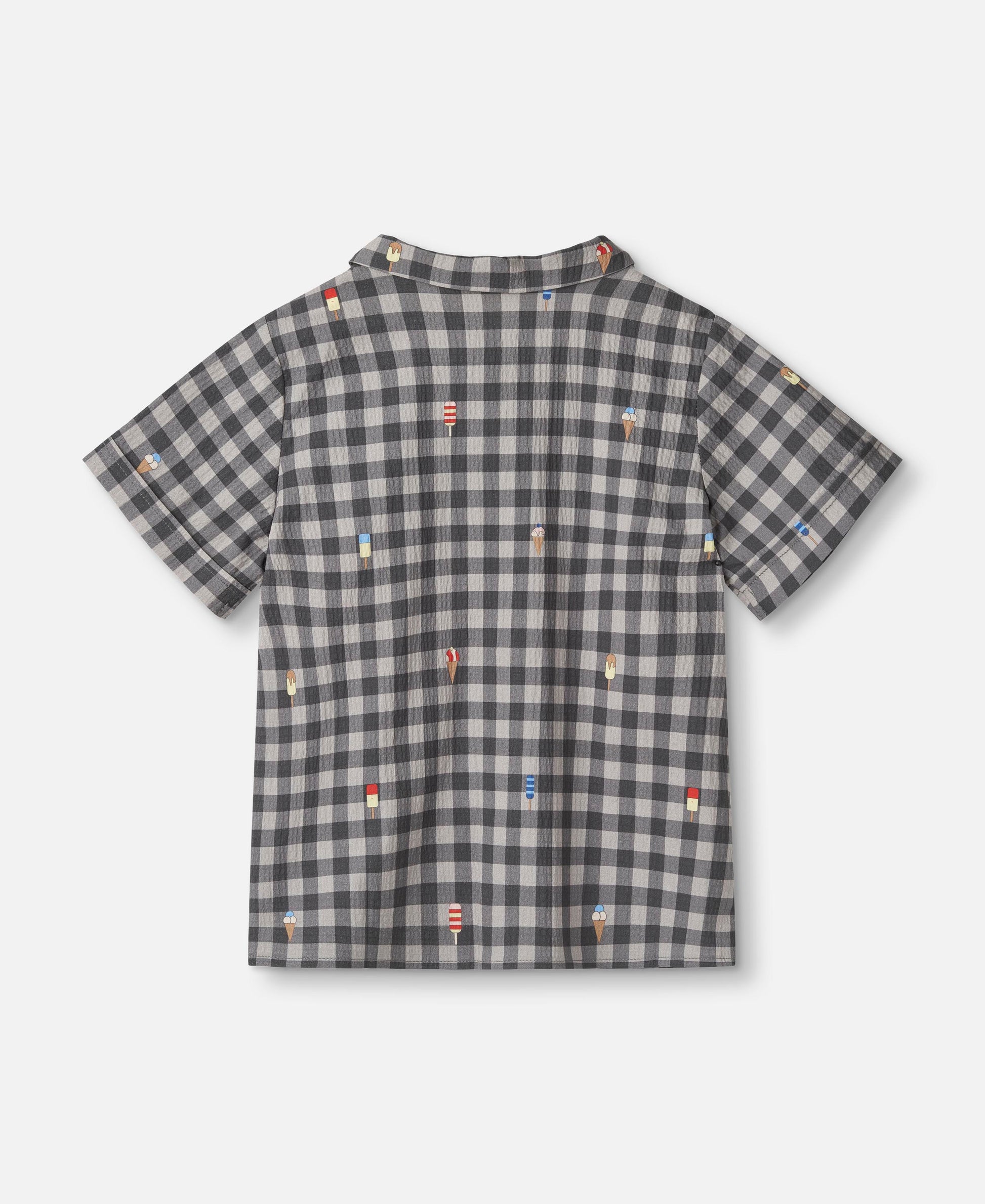 FLIINK POLAR  SHIRT SHIRT MAGNET CHECK AOP